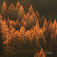 Fall Hibernation - Single - Matt Tondut