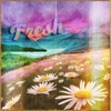 Fresh - Single