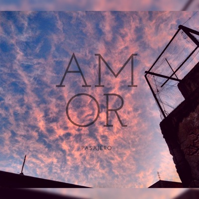 Amor Pasajero (feat. Bone Bap) - Single