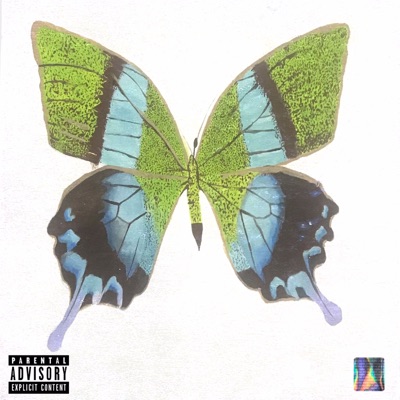 Butterfly (feat. VRIVXUT & TheAria) - Single
