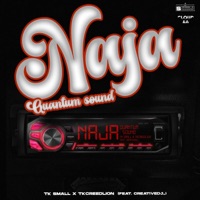 Naja (feat. Tkcreedlion & creativedj_) - Single - Tk.Small