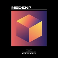Neden (feat. Carlo & Subay) - Single - Salih Mardin