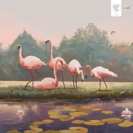 Ashcombe Loafy Building & Yestalgia