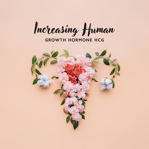 Increasing Human Growth Hormone hCG: Balancing Hormones During Pregnancy and after PCOS and PCOS, A Successful First Trimester