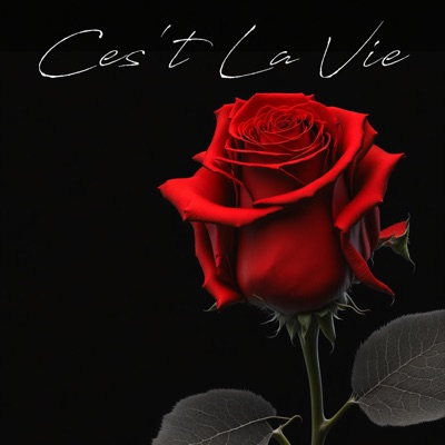 Ces't La Vie - Single