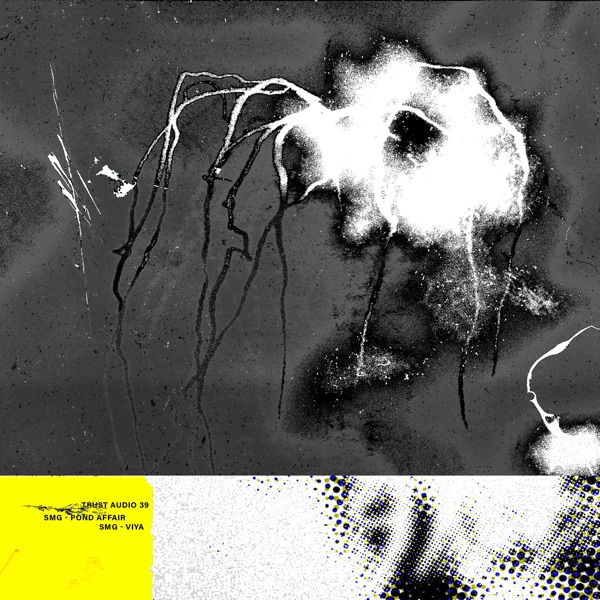Pond Affair / Viya - Single