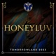 Tomorrowland 2023 HoneyLuv at Crystal Garden Weekend 1 DJ Mix