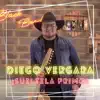 Diego Vergara - El Pajarillo Blanco