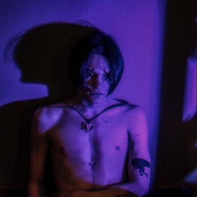 к тебе я навряд ли вернусь - Single