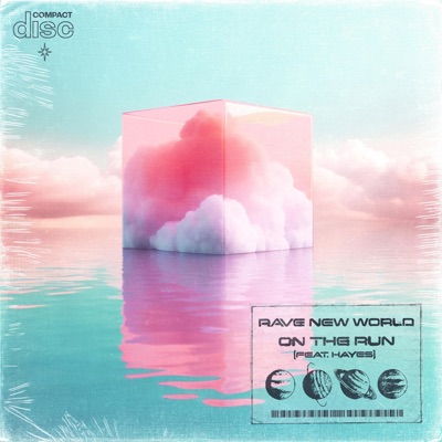On the Run (feat. Hayes) - Single