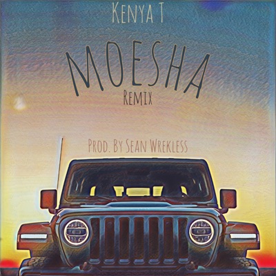 Moesha (feat. Sean Wrekless) [Remix] [Remix] - Single