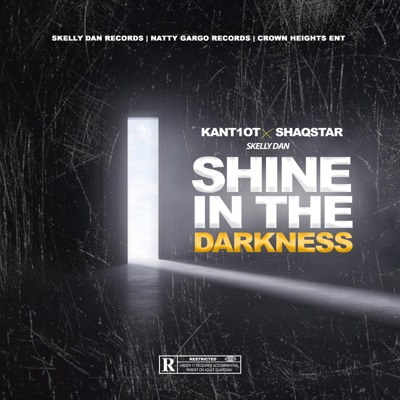 Shine in the Darkness - Single