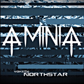 Aminia Voke The North Star