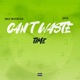 Can t Waste Time feat QUE Single
