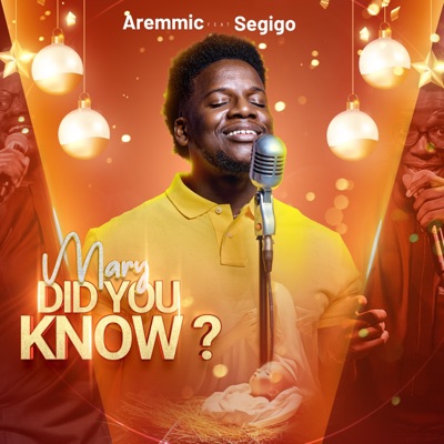 Mary Did You Know ? (feat. Segigo) - Single