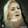 Amin - Single