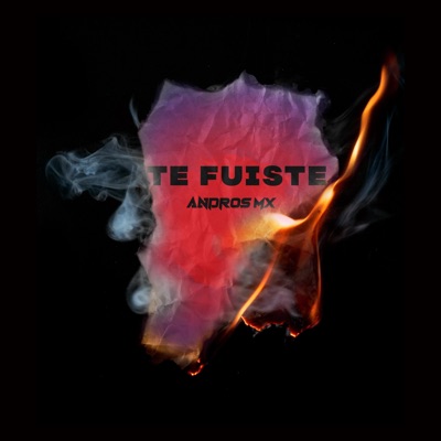 TeFuiste:( - Single