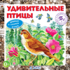 Аудиоэнциклопедия. Удивительные птицы + живые голоса птиц - Светлана Силантьева, Дмитрий Силантьев & Екатерина Зацепина