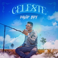 CELESTE - Single - David Bry