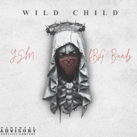 Wild Child (feat. Big Jroc) - Single - FBsG Bandz