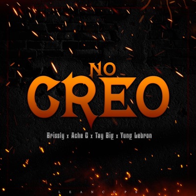 No Creo (feat. Brissly, Tay Big, Ache G & Yung Lebron) - Single