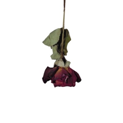 Sometimes, Pt. 2 (feat. OKZ) - Single