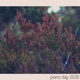 Piano Day 2020 EP