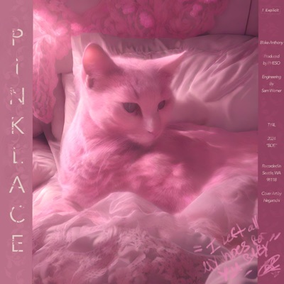 Pink Lace (feat. Pheso & Dont3) - Single