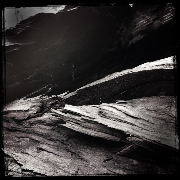 Streams of Consciousness 232703