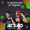 O Apaixonado ou Pegador (feat. Nadson Ferinha) - Single