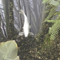 Metal & Miel - Single - Pablo Venecia & kickassdrea