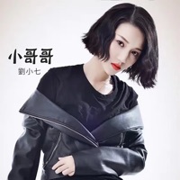 小哥哥 - Single - 刘小七
