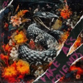 Fake Ass Friends artwork