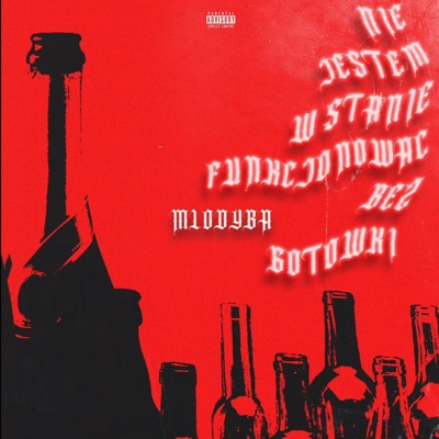 Nie Jestem W Stanie Funkcjonować Bez Gotówki - Single