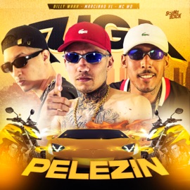 Pelezin Mc W.O, Billy waah & Marcinho VL