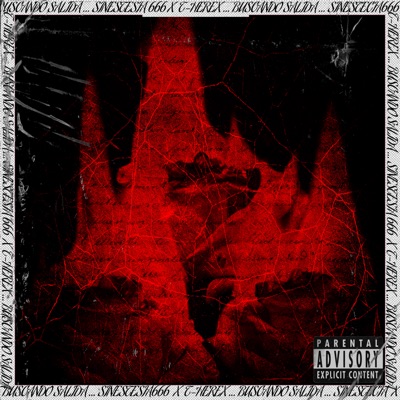Buscando Salida - Single