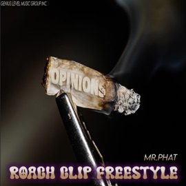 RoachClip Freestyle (Radio Edit) Mr. Phat