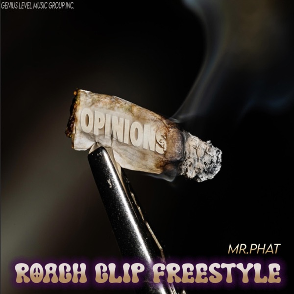 Da RoachClip Freestyle - Single