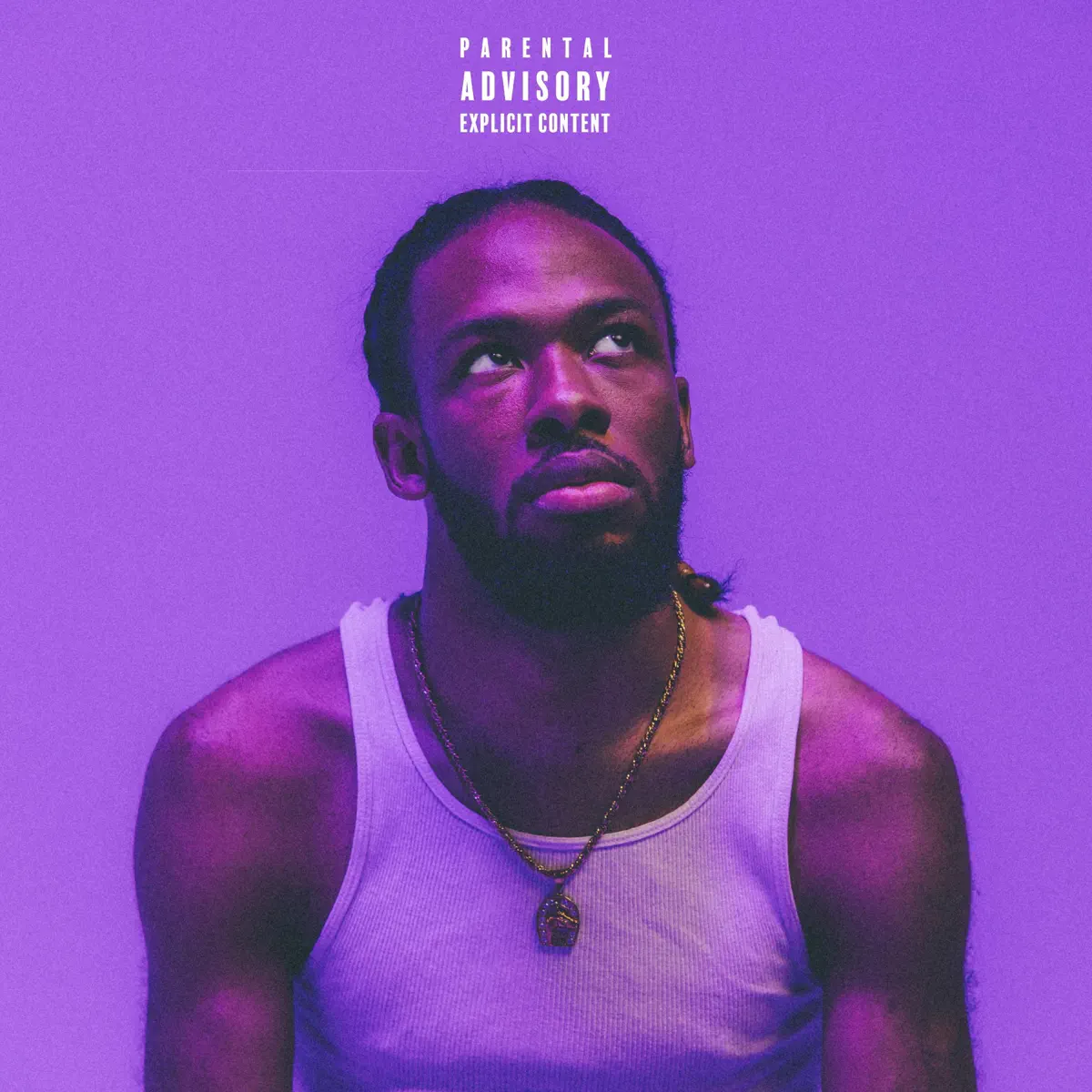 Zay Blaze - The Day I Fell In Love (2024) [iTunes Plus AAC M4A]-新房子