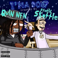I'ma Dog (feat. Quin NFN) - Single - Exotic Skottie