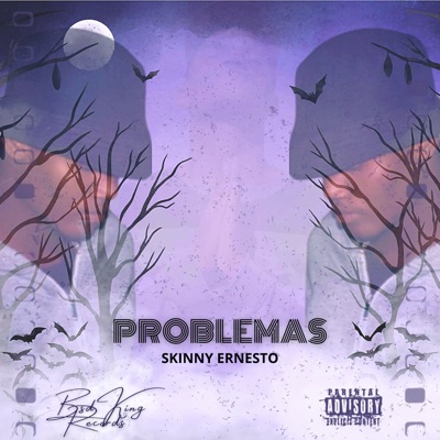 Problemas - Single