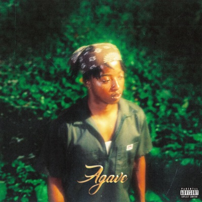 Agave (Outdoor Acoustic) - Single