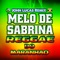 Melô de Sabrina (Faded Reggae Do Maranhao) artwork