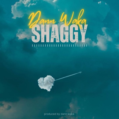 Shaggy - Single