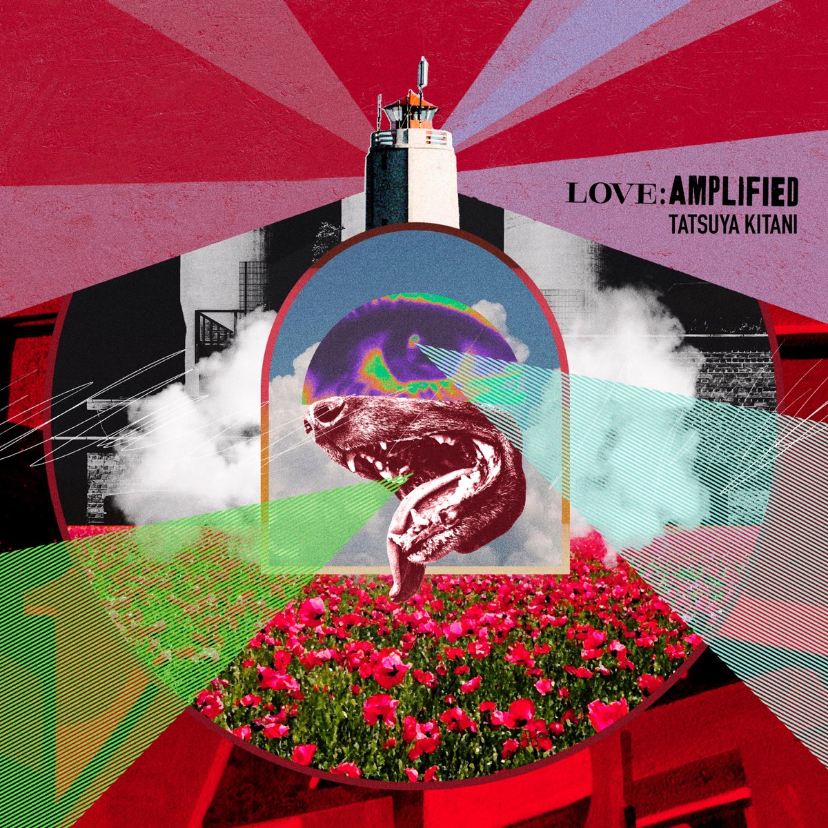‎LOVE AMPLIFIED EP キタニタツヤのアルバム Apple Music