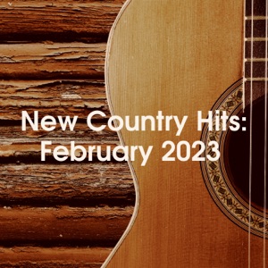 New Country Hits: February 2023