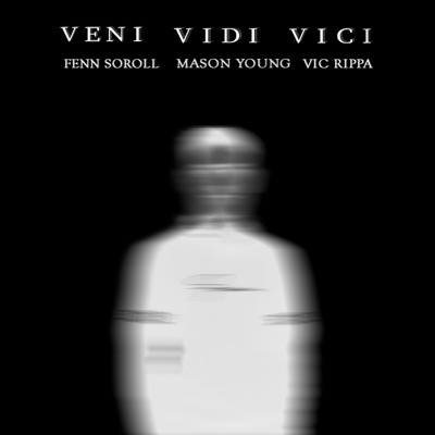 Veni Vidi Vici (Mason Young Remix) [feat. Vic Rippa] - Single