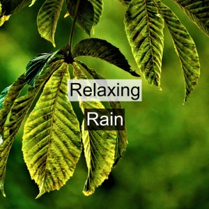 Relaxing Rain
