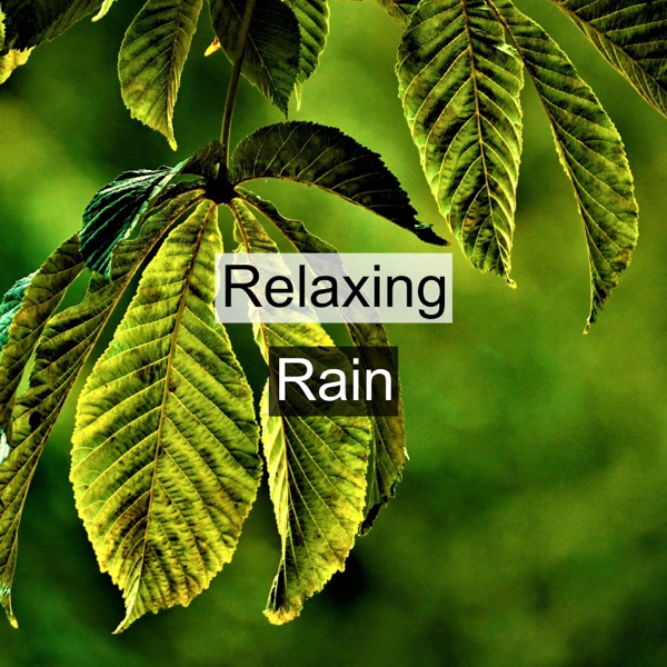 Relaxing Rain