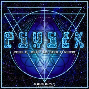 Visible Light (DJ Goblin Remix) - EP